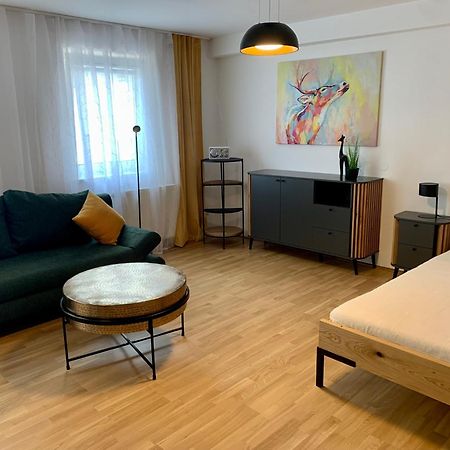 Air-Conditioned, Quiet Apartment With A Terrace In Center Of St Poelten - Smart Tv سانت بولتن المظهر الخارجي الصورة