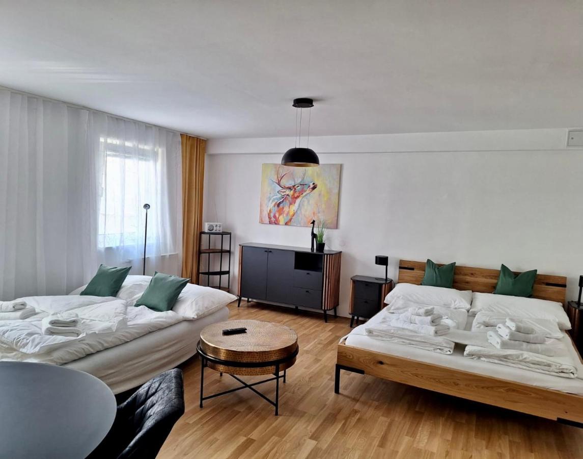 Air-Conditioned, Quiet Apartment With A Terrace In Center Of St Poelten - Smart Tv سانت بولتن المظهر الخارجي الصورة