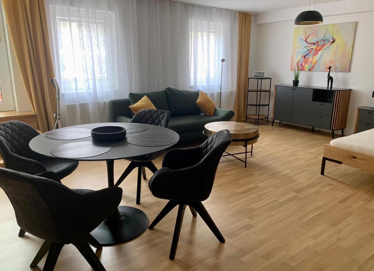 Air-Conditioned, Quiet Apartment With A Terrace In Center Of St Poelten - Smart Tv سانت بولتن المظهر الخارجي الصورة